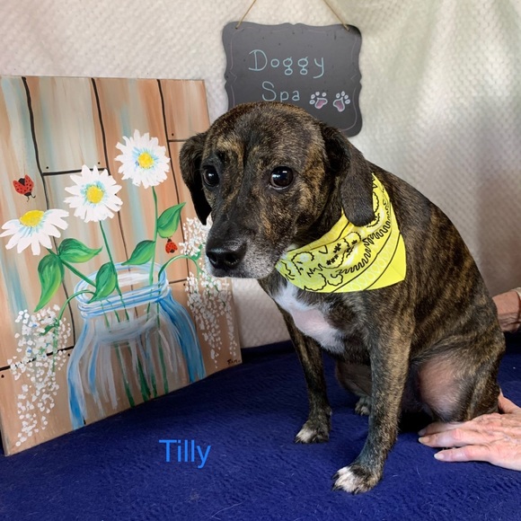 Meet your Posher, Heather - Picture 2 of 4